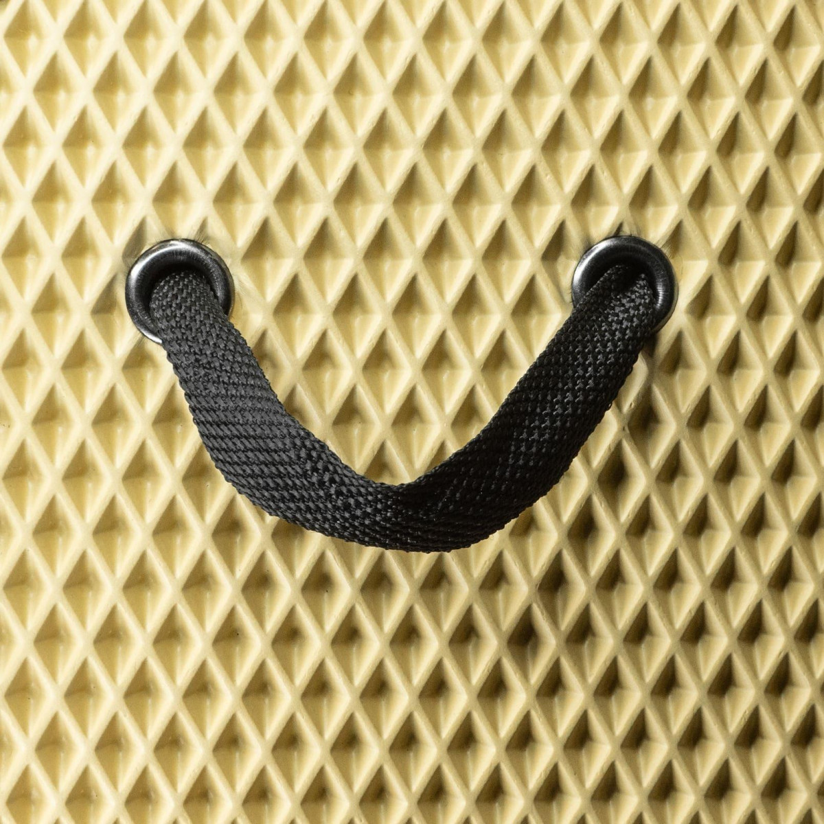 EVAtech Bagāžas nodalījuma organizators PRO L 32x75x30 cm - smilšu / melnas malas